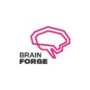 BrainForge IT Software & Consulting