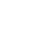 Vitesco Technologies